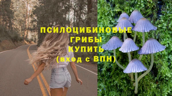 экстази Вяземский