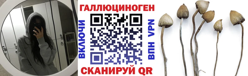 Галлюциногенные грибы Psilocybe  Озёры 